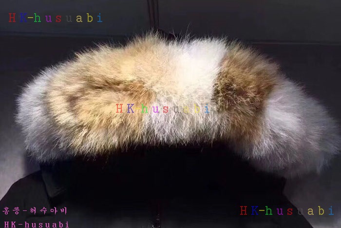 NEW ĳ���ٱ��� �̽�ƽ �������е� C 111250
